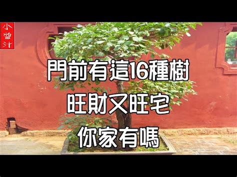 門口左右 邊種樹|家門口種什麼樹最好？風水招財化煞指南 